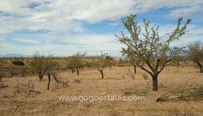 Resale - Cortijo - Freila