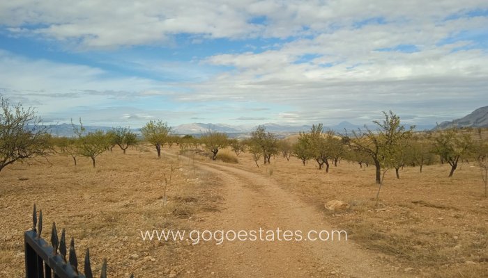 Resale - Cortijo - Freila