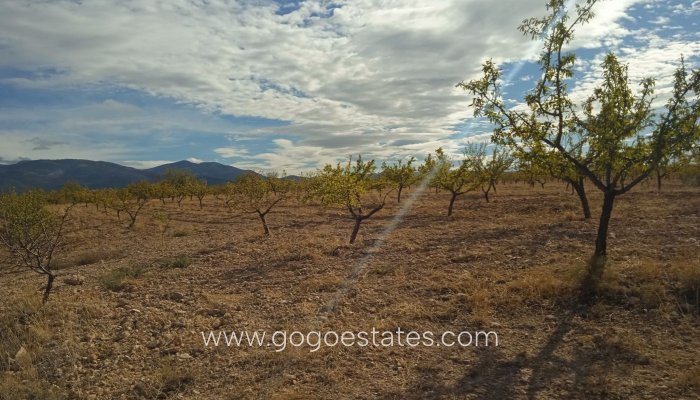 Resale - Cortijo - Freila