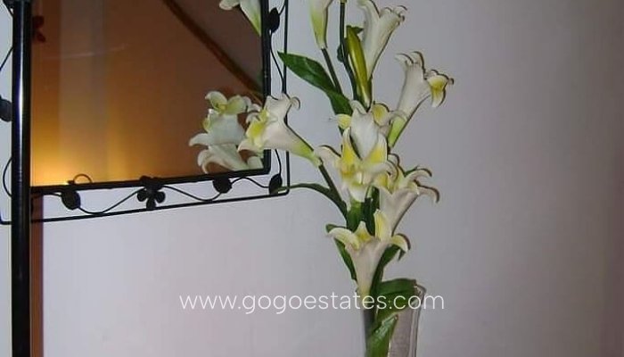 Resale - Villa - Cuevas del Campo - Granada