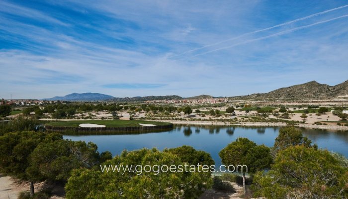 New Build - Bungalow - Baños y Mendigo