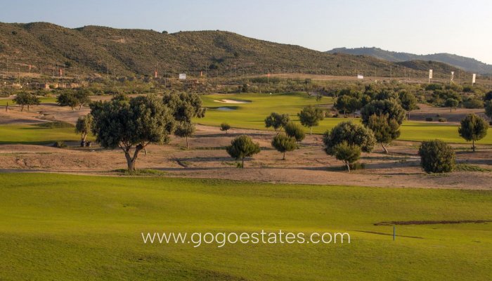 New Build - Bungalow - Baños y Mendigo