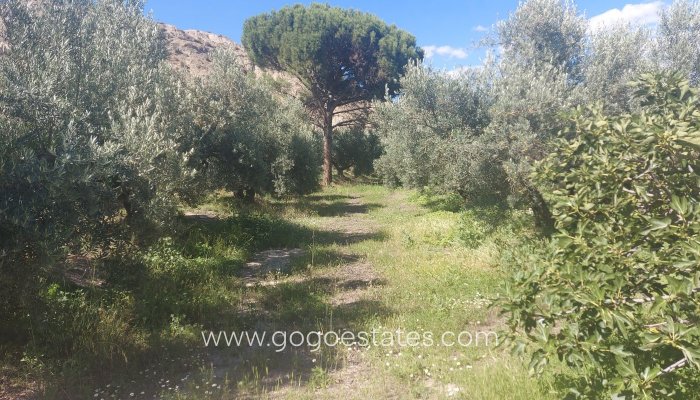 Resale - Finca rústica - Beas de Guadix - Bacor