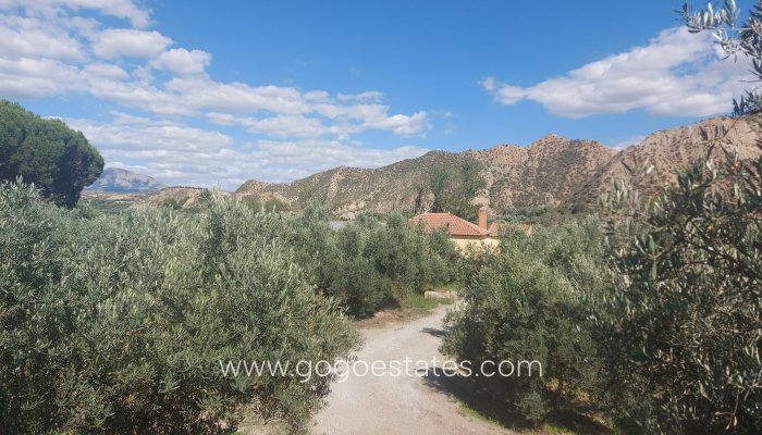 Resale - Finca rústica - Beas de Guadix - Bacor