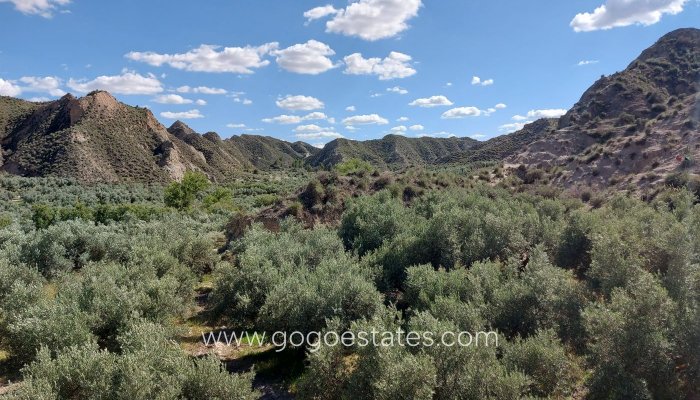 Resale - Finca rústica - Beas de Guadix - Bacor