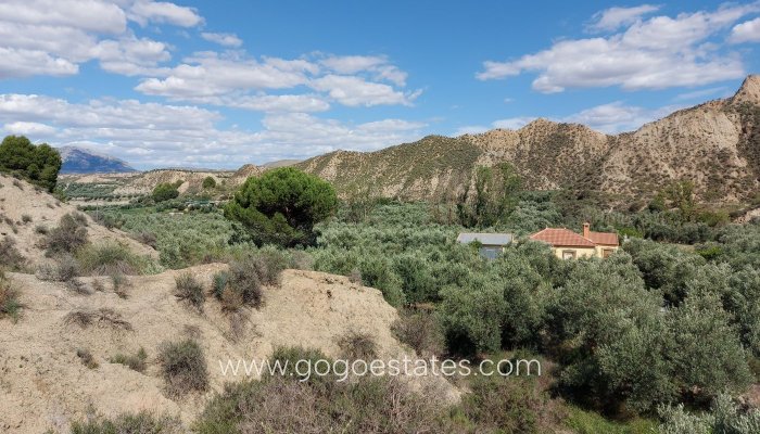 Resale - Finca rústica - Beas de Guadix - Bacor