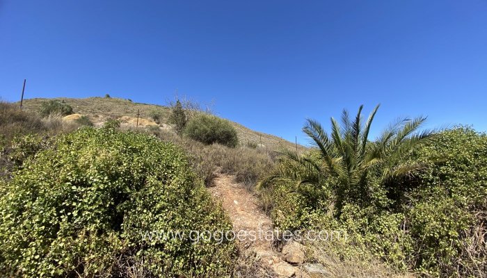 Resale - Finca rústica - Lorca - Campo López