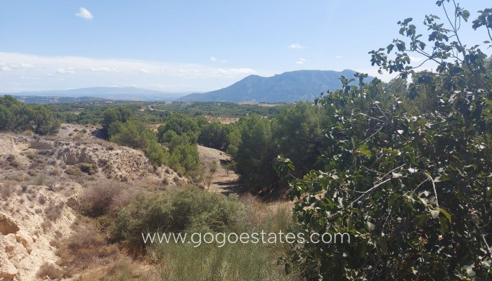Resale - Casa Cueva - Cuevas del Campo - Granada
