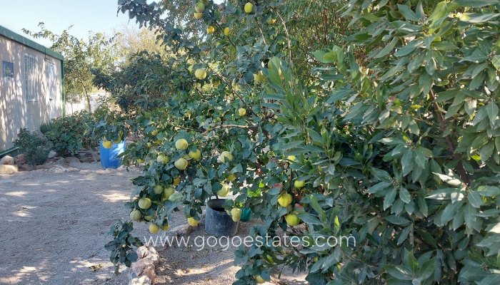 Resale - Negocio - Baza