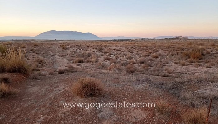 Resale - Negocio - Baza