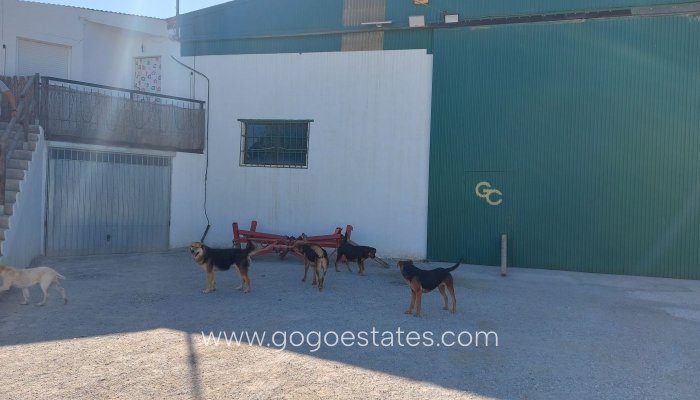 Resale - Negocio - Baza