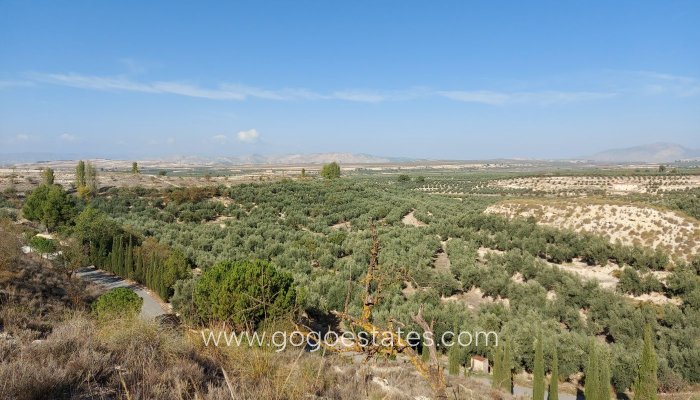 Resale - Villa - Cuevas del Campo - Granada