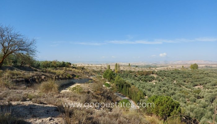 Resale - Villa - Cuevas del Campo - Granada