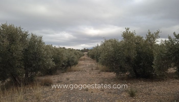 Resale - Country House - Beas de Guadix - Bacor