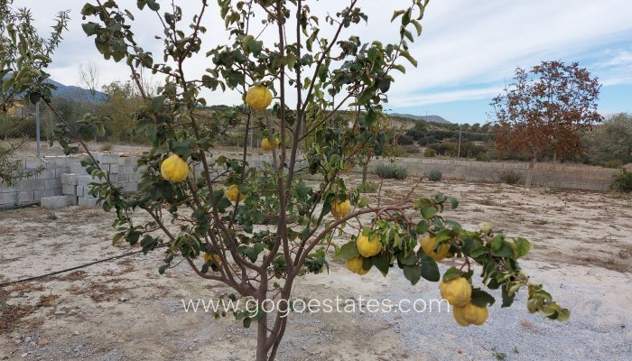 Resale - Country House - Baza - Ctra de caniles