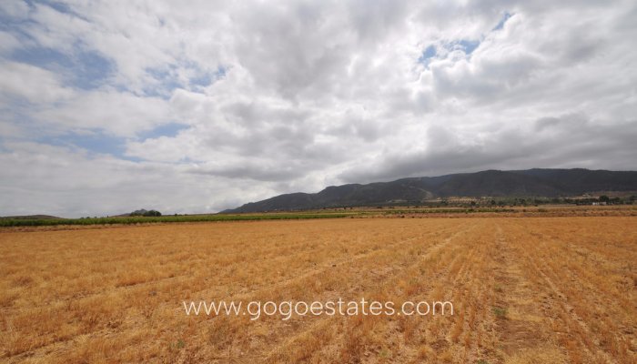 Resale - Parcela - Yecla