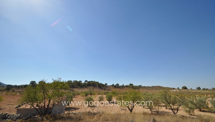 Venta - Parcela - Jumilla - Jumilla Centro