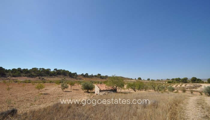 Venta - Parcela - Jumilla - Jumilla Centro