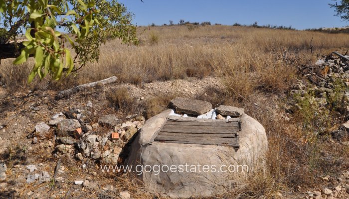 Venta - Parcela - Jumilla - Jumilla Centro