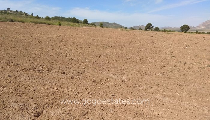 Resale - Parcela - Yecla