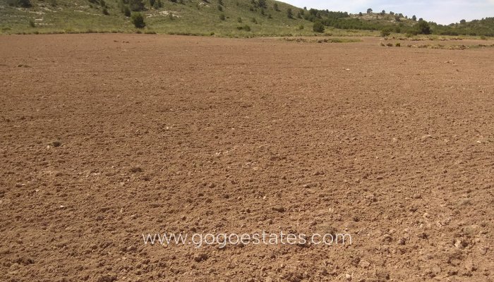 Resale - Parcela - Yecla