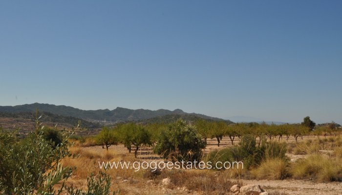 Resale - Parcela - Murcia - Macisvenda