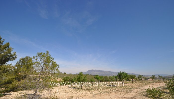 Te koop - Parcela - Alquerias