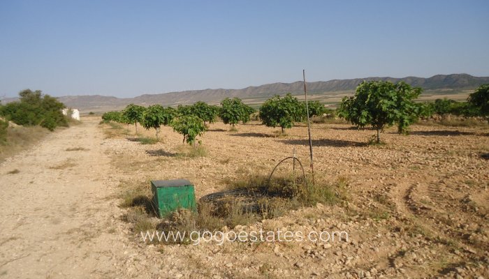 Resale - Parcela - Yecla