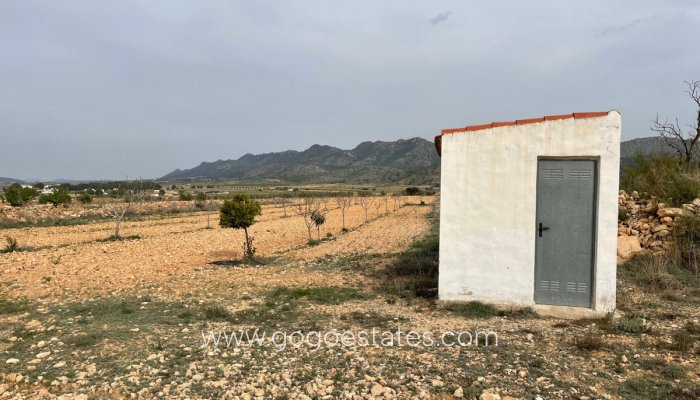 Resale - Parcela - Yecla