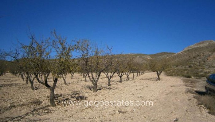 Venta - Parcela - Yecla