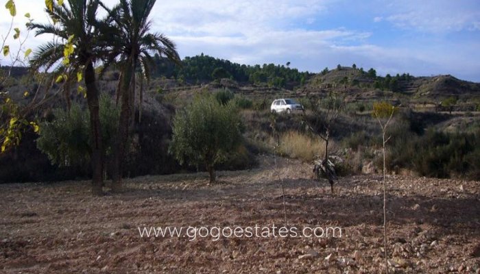 Resale - Finca rústica - Murcia - Macisvenda