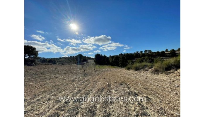 Resale - Parcela - Alquerias