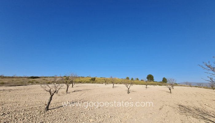 Resale - Parcela - Jumilla - Jumilla Centro