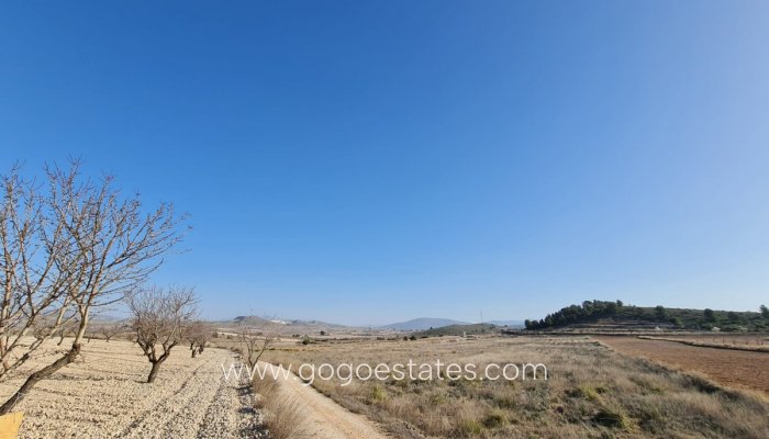 Resale - Parcela - Jumilla - Jumilla Centro