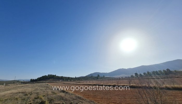 Resale - Parcela - Jumilla - Jumilla Centro