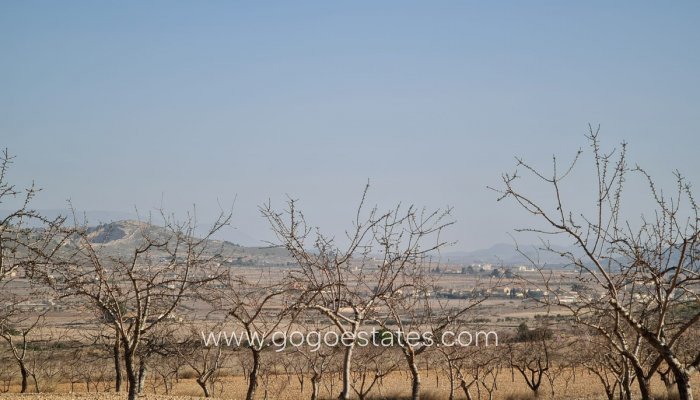 Venta - Parcela - Jumilla - Jumilla Centro