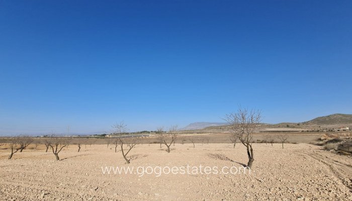 Venta - Parcela - Jumilla - Jumilla Centro