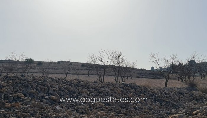 Venta - Parcela - Jumilla - Jumilla Centro