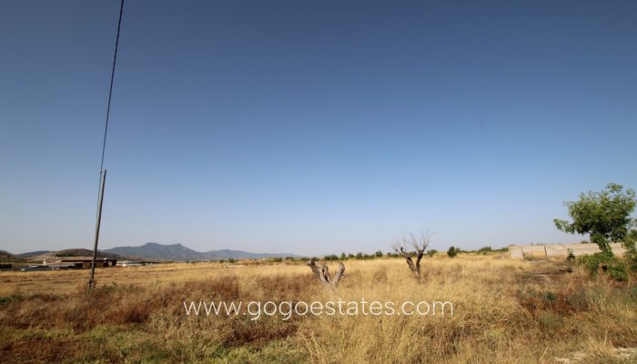 Resale - Finca rústica - Jumilla - Jumilla Centro
