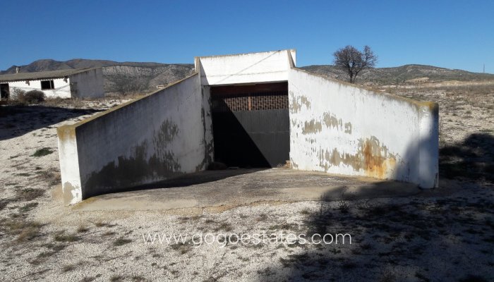 Resale - Finca rústica - Jumilla - Jumilla Centro