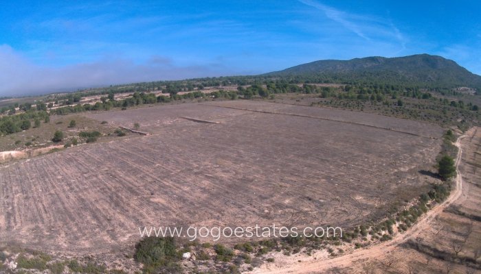 Wiederverkauf - Parcela - Yecla