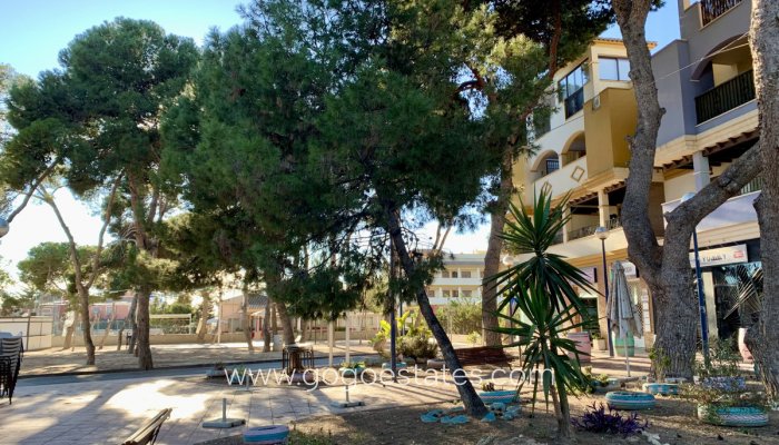 New Build - Apartamento - San Javier - Roda