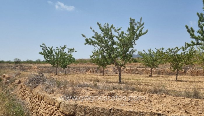 Resale - Parcela - Yecla