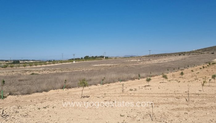 Resale - Parcela - Jumilla - Jumilla Centro