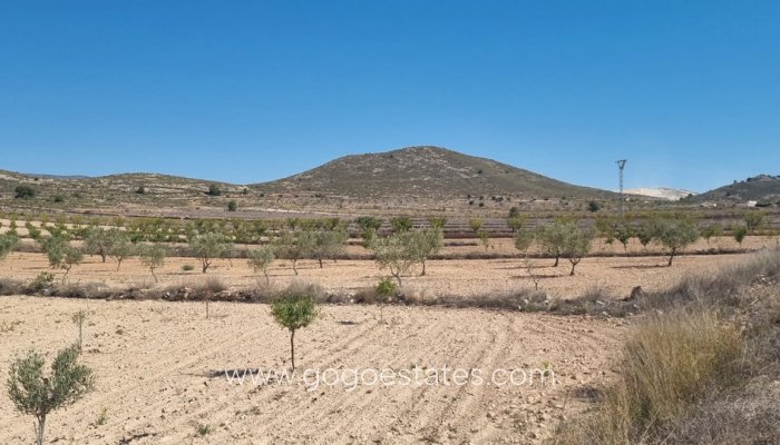 Resale - Parcela - Jumilla - Jumilla Centro