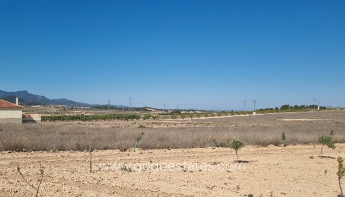 Resale - Parcela - Jumilla - Jumilla Centro