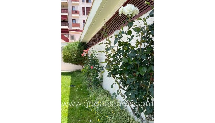 New Build - Apartamento - Villanueva del Rio Segura - Villanueva del rio segura centro