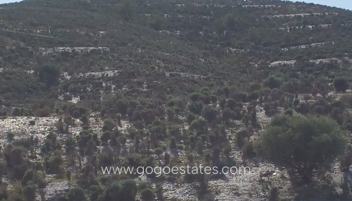 Venta - Parcela - Lorca - Corredera