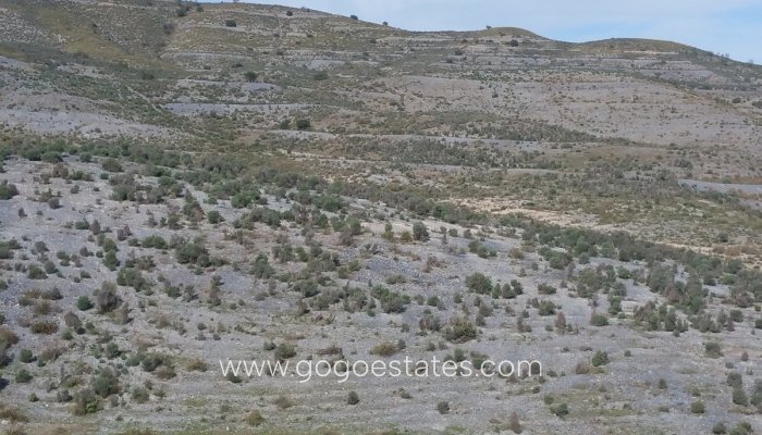 Resale - Parcela - Lorca - Corredera