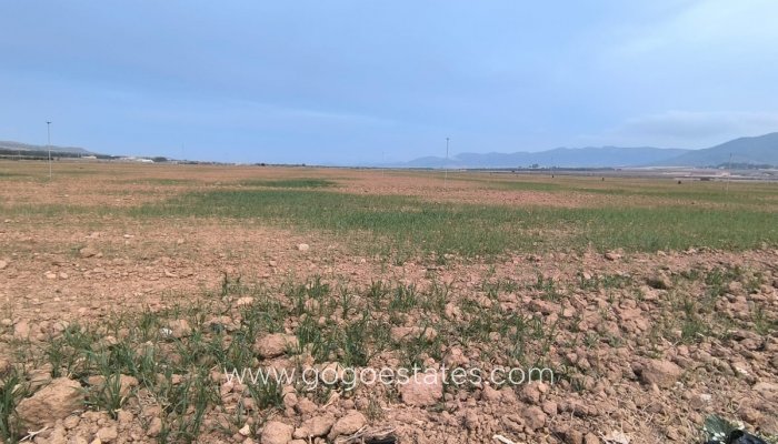 Resale - Parcela - Yecla